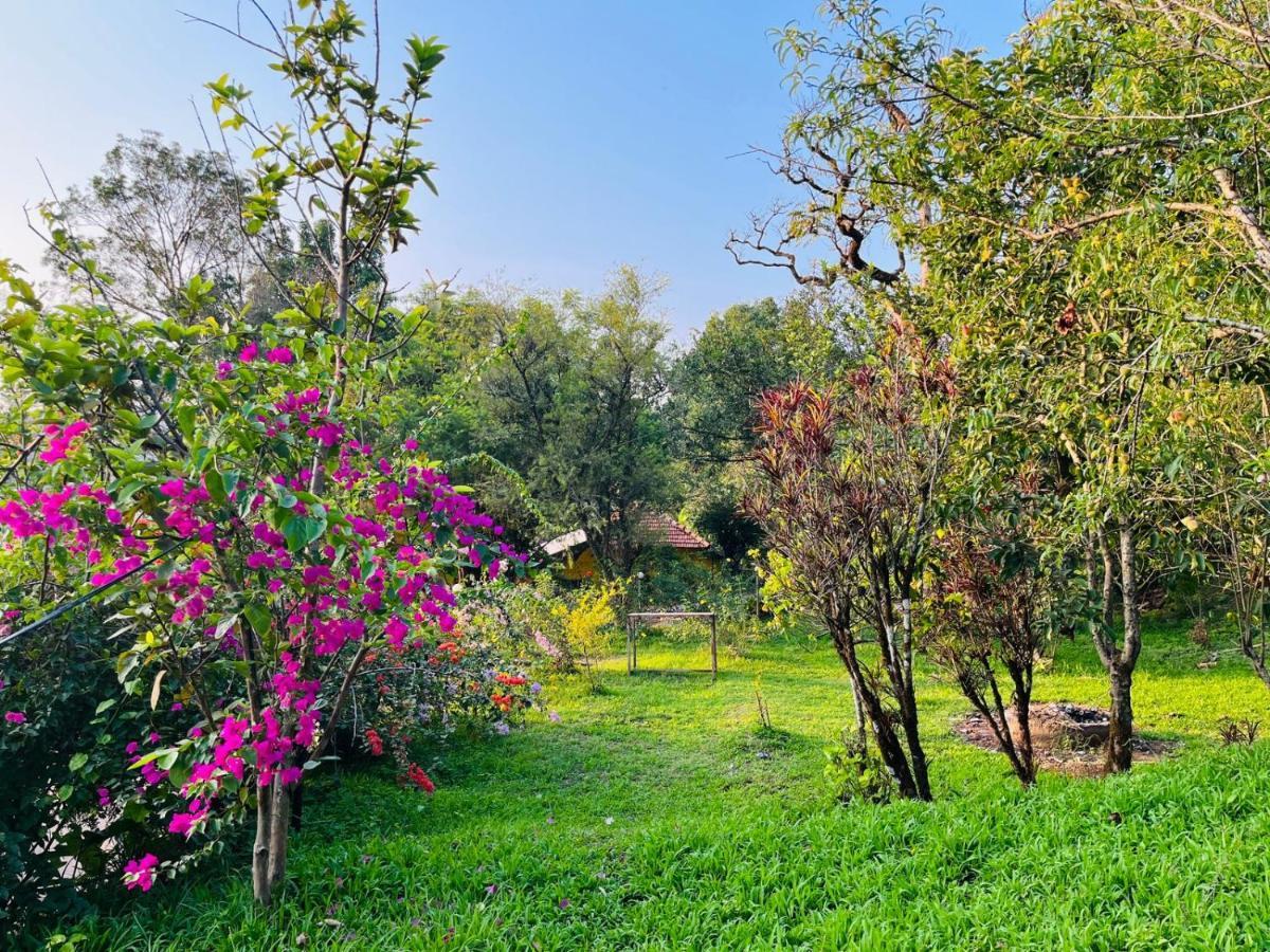 Coorg Daffodil Guesthouse 马迪凯里 外观 照片