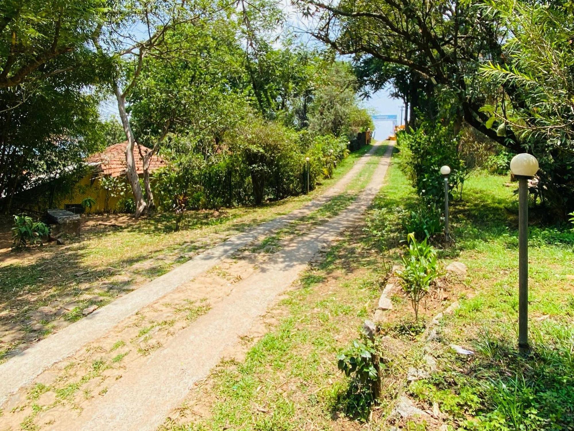 Coorg Daffodil Guesthouse 马迪凯里 外观 照片